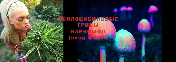 прущие грибы Горнозаводск