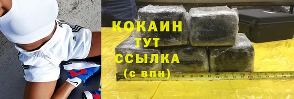 Альфа ПВП Горняк