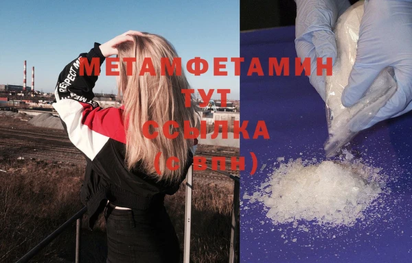 прущие грибы Горнозаводск