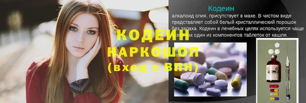 прущие грибы Горнозаводск