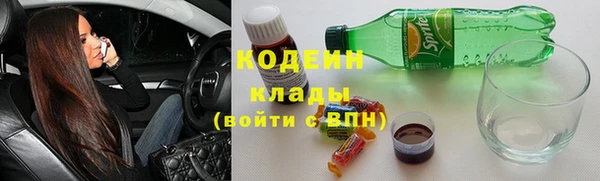 прущие грибы Горнозаводск