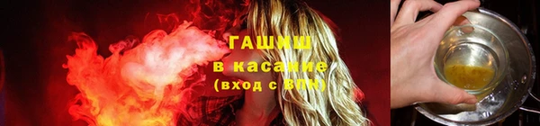 Альфа ПВП Горняк