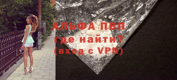 прущие грибы Горнозаводск