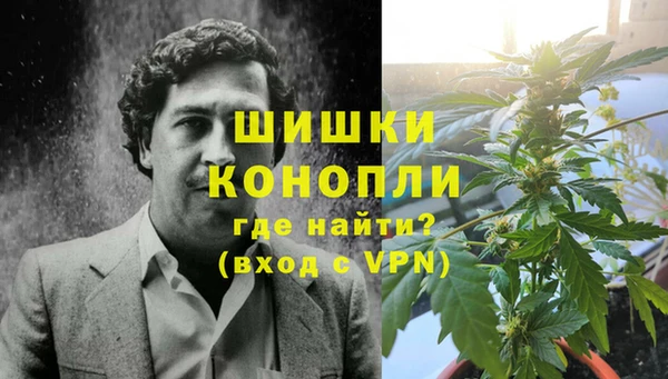 прущие грибы Горнозаводск