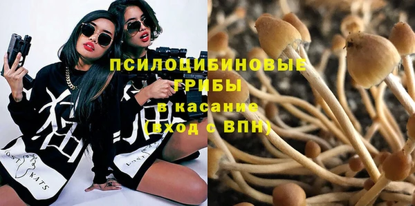 винт Горно-Алтайск