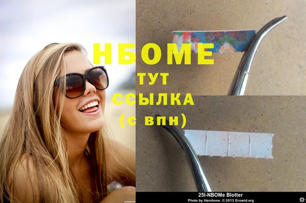 Альфа ПВП Горняк