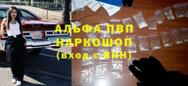 винт Горно-Алтайск