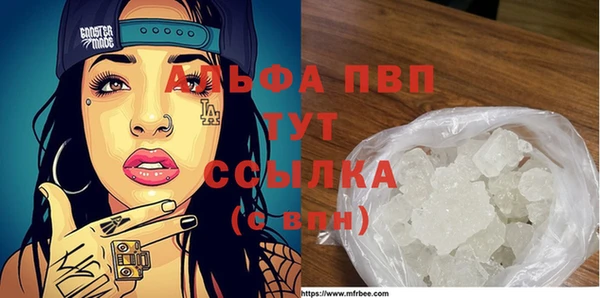 Альфа ПВП Горняк