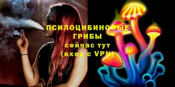 прущие грибы Горнозаводск