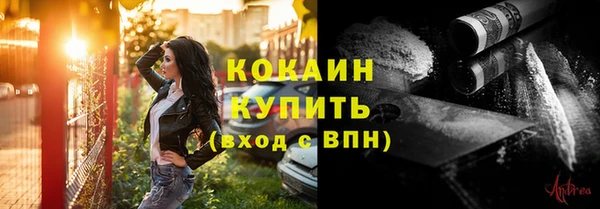 винт Горно-Алтайск