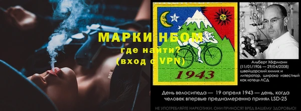 Альфа ПВП Горняк