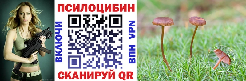 Псилоцибиновые грибы Magic Shrooms Сураж