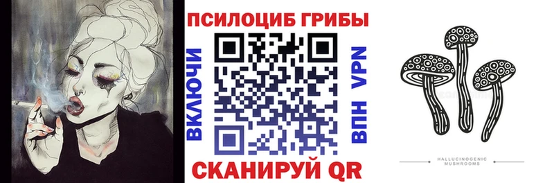 Псилоцибиновые грибы Cubensis  Сураж 